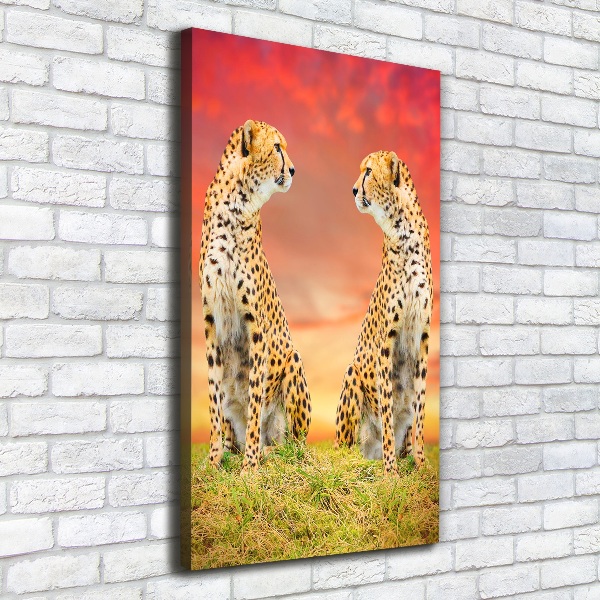 Verticale foto op canvas Twee cheetahs