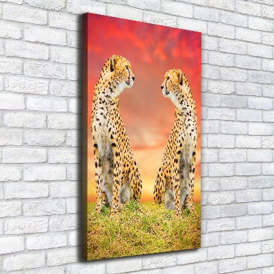 Verticale foto op canvas Twee cheetahs