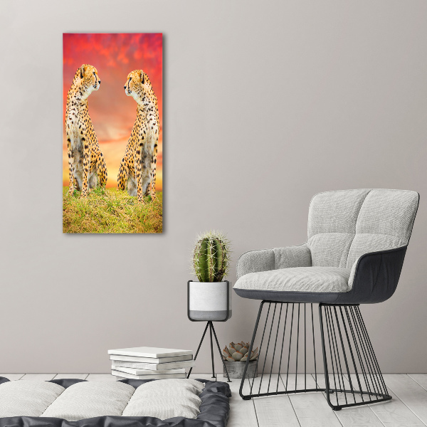 Verticale foto op canvas Twee cheetahs