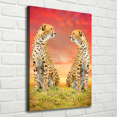 Verticale foto op canvas Twee cheetahs