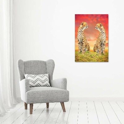 Verticale foto op canvas Twee cheetahs