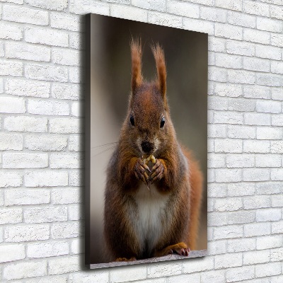 Verticale canvasfoto Eekhoorn