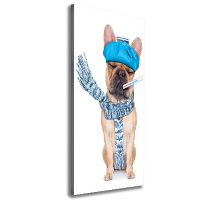 Verticale canvasfoto Zieke hond