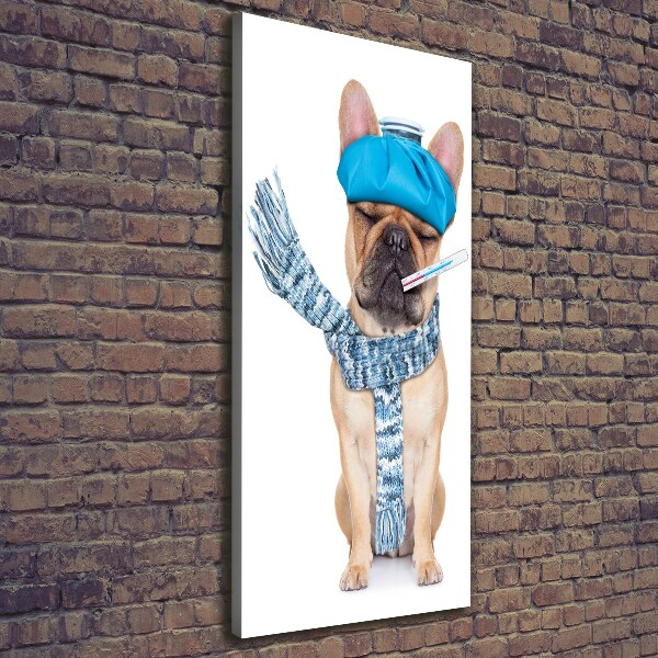 Verticale canvasfoto Zieke hond
