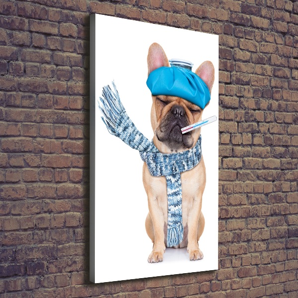 Verticale canvasfoto Zieke hond