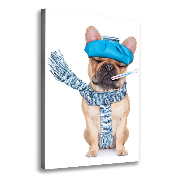 Verticale canvasfoto Zieke hond
