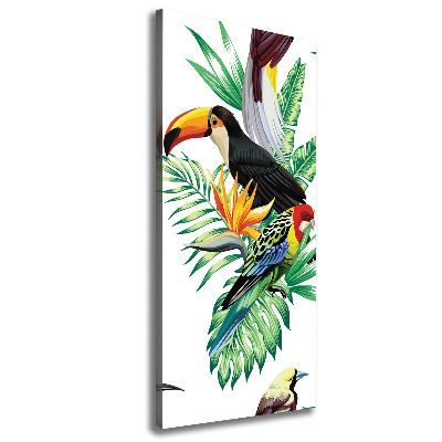 Verticale foto op canvas Tropische vogels