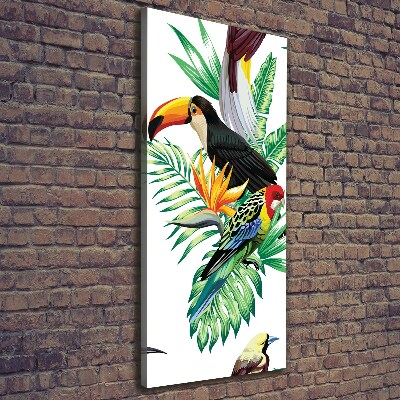 Verticale foto op canvas Tropische vogels