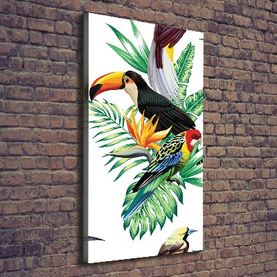 Verticale foto op canvas Tropische vogels