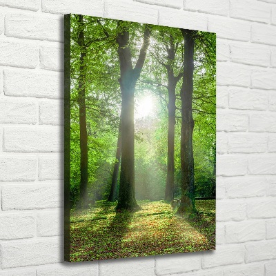 Verticaal schilderij op canvas De zon in het bos