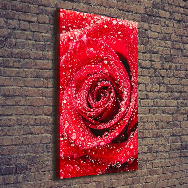Foto obraz na płótnie pionowy Czerwona róża