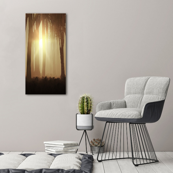 Verticaal canvasschilderij Mist in het bos