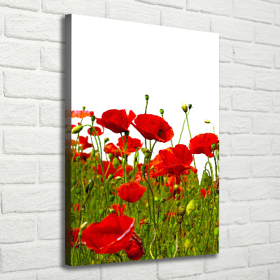 Verticale canvasfoto Klaprozenveld