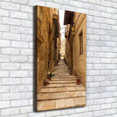 Verticale foto op canvas Straten in Malta