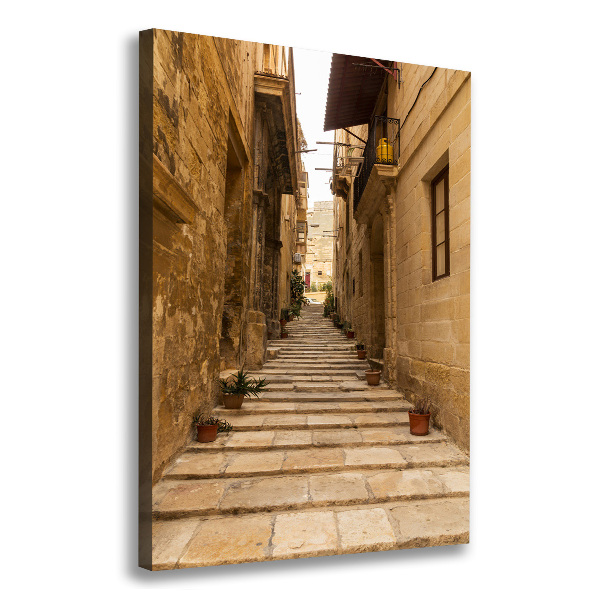 Verticale foto op canvas Straten in Malta