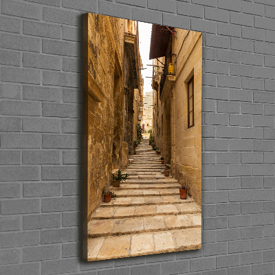 Verticale foto op canvas Straten in Malta