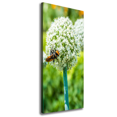 Verticale canvasfoto Knoflookbloemen