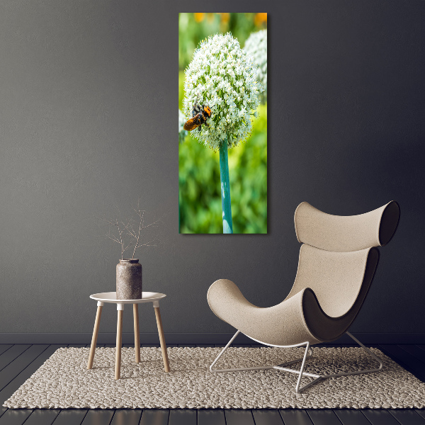 Verticale canvasfoto Knoflookbloemen