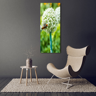 Verticale canvasfoto Knoflookbloemen