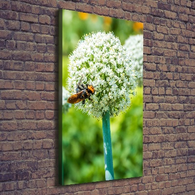 Verticale canvasfoto Knoflookbloemen