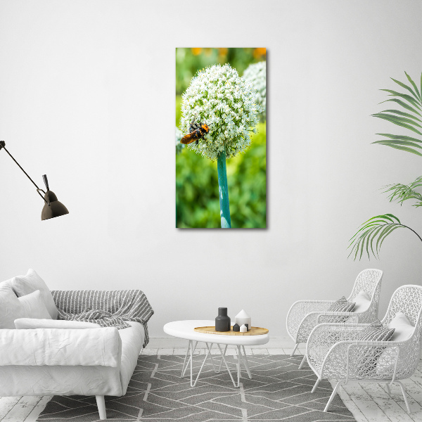 Verticale canvasfoto Knoflookbloemen