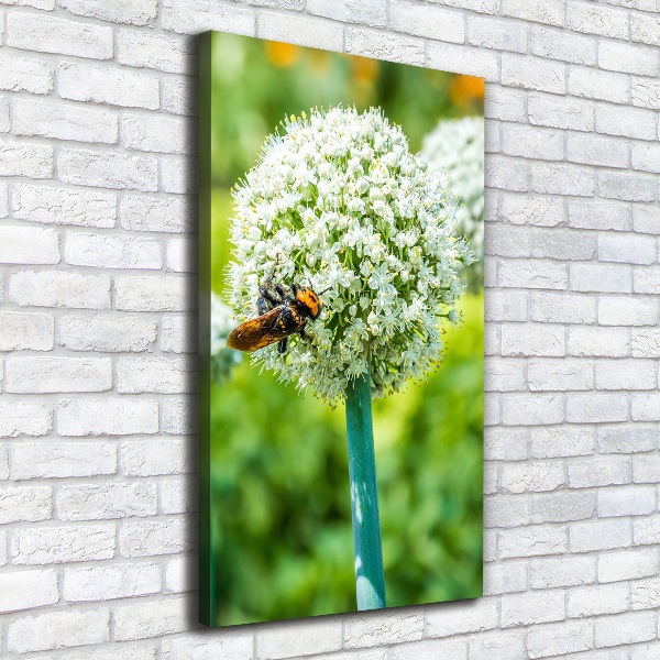 Verticale canvasfoto Knoflookbloemen
