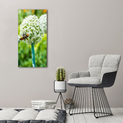 Verticale canvasfoto Knoflookbloemen