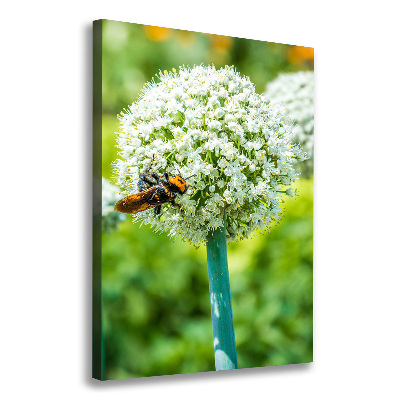 Verticale canvasfoto Knoflookbloemen