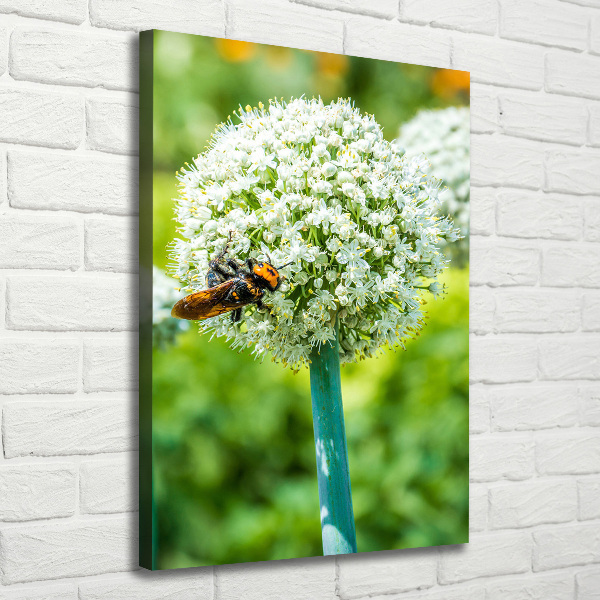 Verticale canvasfoto Knoflookbloemen