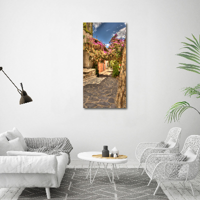 Verticale foto op canvas Franse straten
