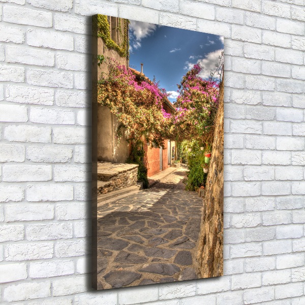 Verticale foto op canvas Franse straten
