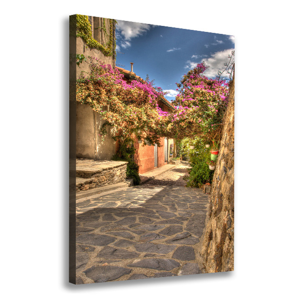 Verticale foto op canvas Franse straten