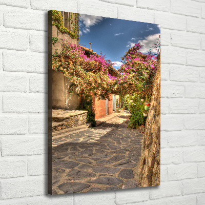 Verticale foto op canvas Franse straten
