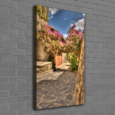 Verticale foto op canvas Franse straten