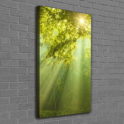 Verticale foto op canvas De zon in het bos