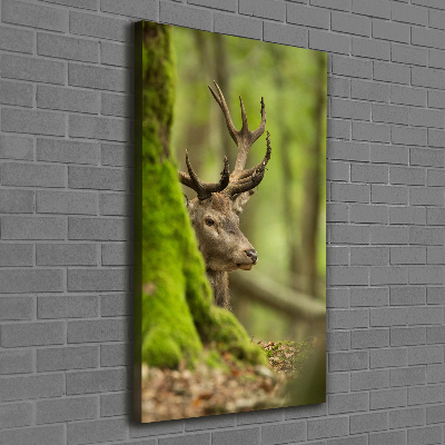 Verticale foto op canvas Hert