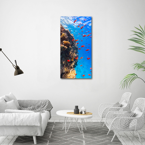 Verticale canvasfoto Koraalrif