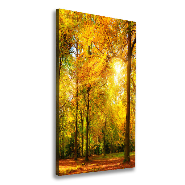 Verticale foto op canvas Bos in de herfst
