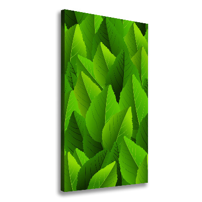 Verticale foto op canvas Groene bladeren