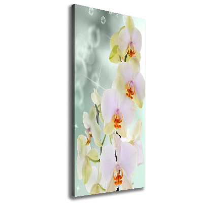 Verticaal canvasschilderij Orchidee