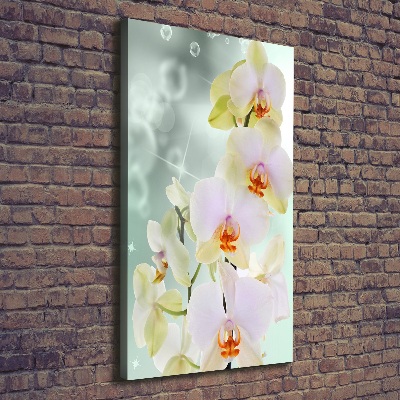 Verticaal canvasschilderij Orchidee