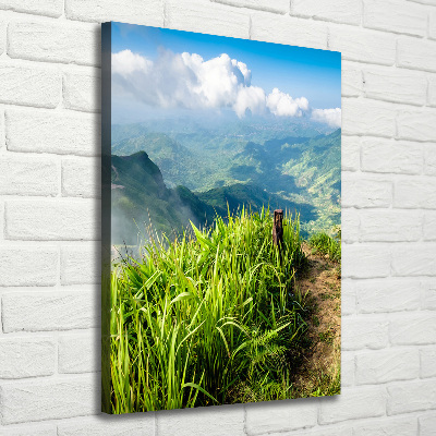 Verticale foto op canvas Bergpad