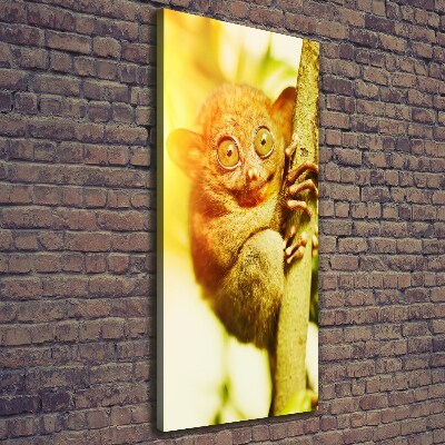 Verticale foto op canvas Spooktarsier