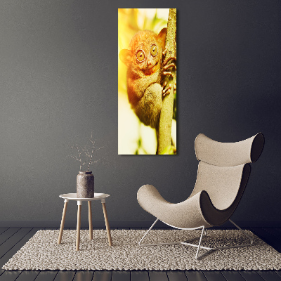 Verticale foto op canvas Spooktarsier