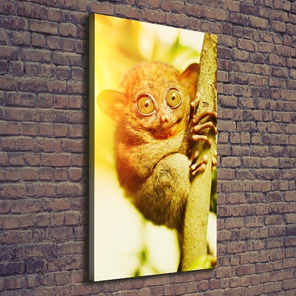 Verticale foto op canvas Spooktarsier