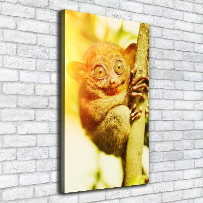 Verticale foto op canvas Spooktarsier