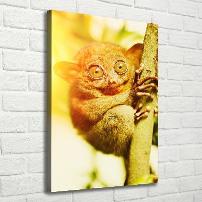 Verticale foto op canvas Spooktarsier