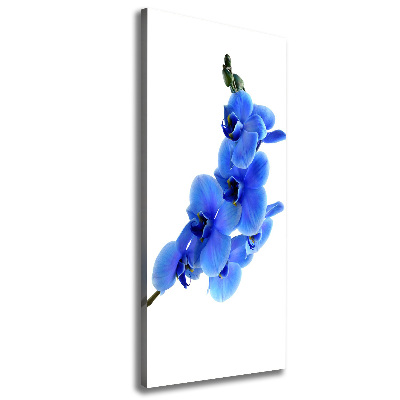 Verticaal schilderij op canvas Blauwe orchidee