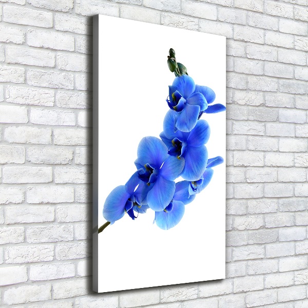 Verticaal schilderij op canvas Blauwe orchidee