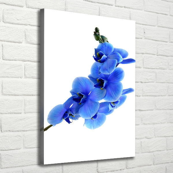 Verticaal schilderij op canvas Blauwe orchidee